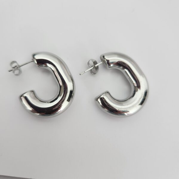 Acero Inoxidable ARETES 24A plata - Imagen 3